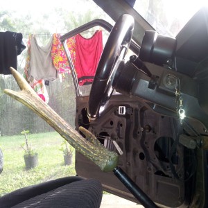 binadu shifter
