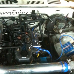 671lo-cals