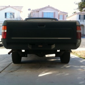 The back