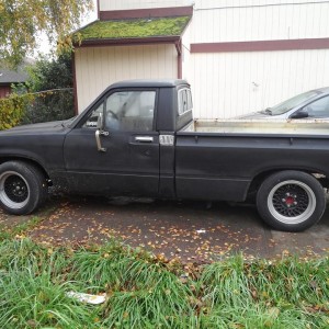 the dolphin! be for i lowered the front