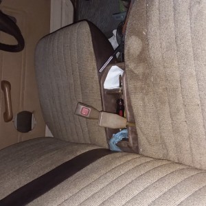 20200912_014138 (Medium)